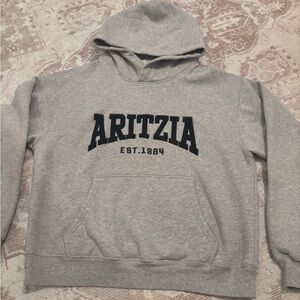 Aritzia sweatshirt